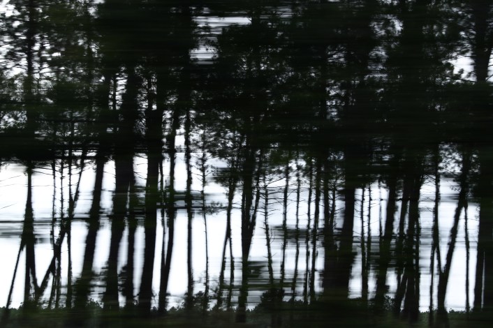 10748653713_f8ed7d32c6_o